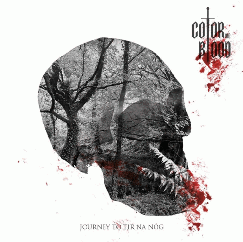 Journey to Tir na Nog